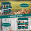 Egg Boxes & Baskets-2058634988