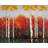 Birches by Fall - Braided Polyester Placemat for Bedroom Decor