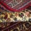 Paisleyann Oriental Area Rug in Beige