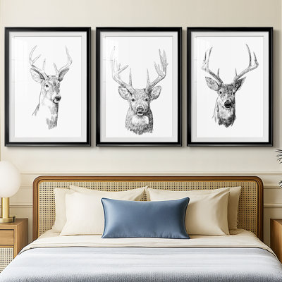 Young Buck S croquis I - reproduction sur mesure encadrée de qualité supérieure - 3 pièces