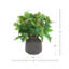 Sedum Bush dans un vase Fiberstone-1374902516