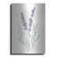 «Lavender III» par Chris Paschke-1294425402