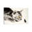 Cat And Mouse by Soo Beng Lim - Wrapped Canvas Gallery-Wrapped Canvas Giclée-759240296