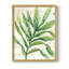 «Parchment Palms I», reproduction encadrée - bois massif-1577432145-1577432148