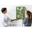 Cork Corkboard / Bulletin Board
