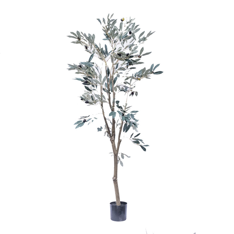 Doublure en pot olive