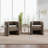 Sinel Full Assembled Upholstered Accent Chair For Living Room-1946058486
