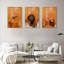 3 Piece Wrapped Canvas Print