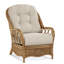 Chaise avec accoudoirs en rotin Everglade-86507429-27525513