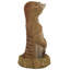 Statue trou dans un suricate africain