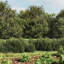 Ashor Metal Wire/Mesh Fence-600812214-600812213-600812212