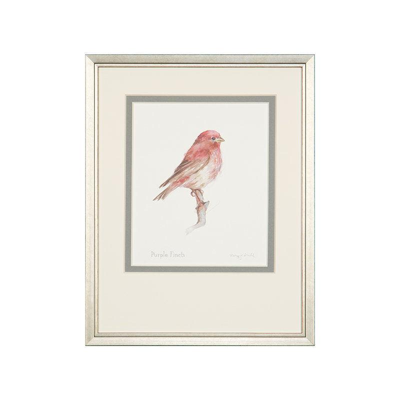 Purple Finch Print by Daughdrill