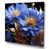 Wrapped Canvas