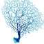 Blue Seafan Coral III Print by Sofia Fox-26931114-26931112