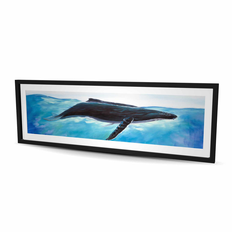 Baleine bleue