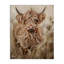 Toile de bœuf bouclée aux cheveux bouclés, design par Ashley Bradley