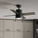 42" Beck 4 - Blade Standard Ceiling Fan with Pull Chain and Light Kit Included