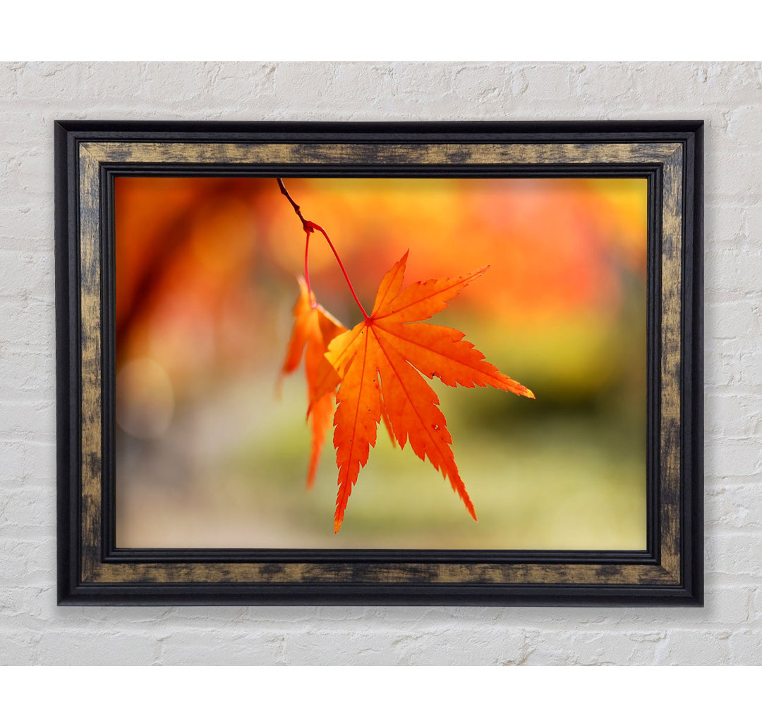 Orange Leaves Sparkle - Einzelner Bilderrahmen Kunstdrucke