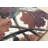 Isser Ornate Multi-Colored Floral High-Traffic Area Rug-1131812636