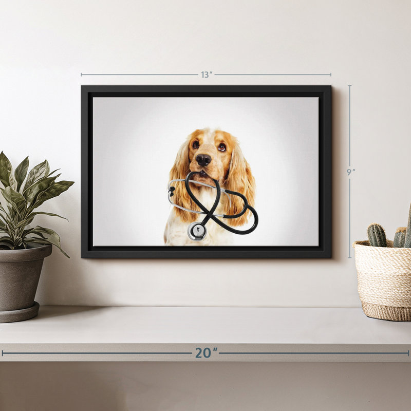 Animal «Doctor Dog», H 9 po x l 13 po