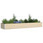 Planter Galvanised Steel-1906631186-1906631189