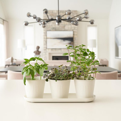 Ensemble de 3 pots de fleurs pour l'intérieur Beautiful Herb