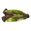 Leaves Novelty Knob-9086062