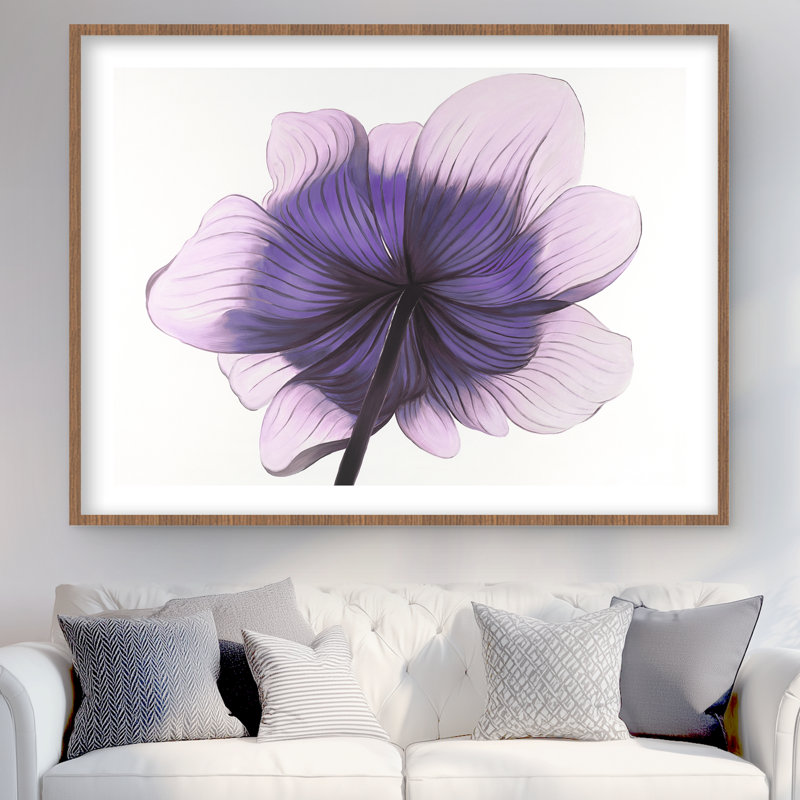 Magnifique fleur d'anémone mauve, impression encadrée