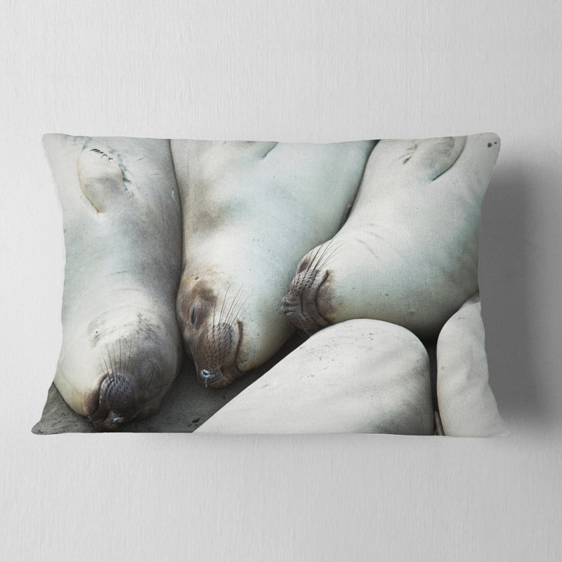 Coussin lombaire 