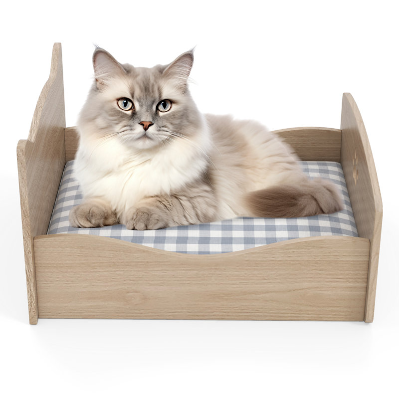Lit pour chat surélevé avec lit pour animaux de compagnie