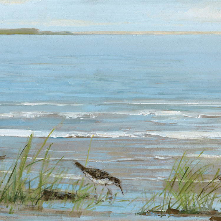 «Afprès on the Shore II», reproduction sur toile, H 18 po x l 18 po x P 1,5 po, Toile tendue, Pas de tapis