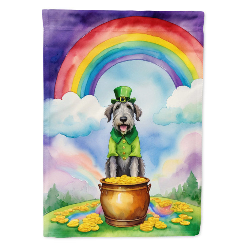 Drapeau double face en polyester H 40 po x l 28 po St Patrick's Day House