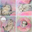 Lit rond pour chat Dequarius-94898052-94898053