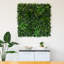 40in. x 40in. UV Resistant Andean Cloud Forest Artificial Living Wall Panel (Indoor/Outdoor)