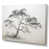 Toile tendue