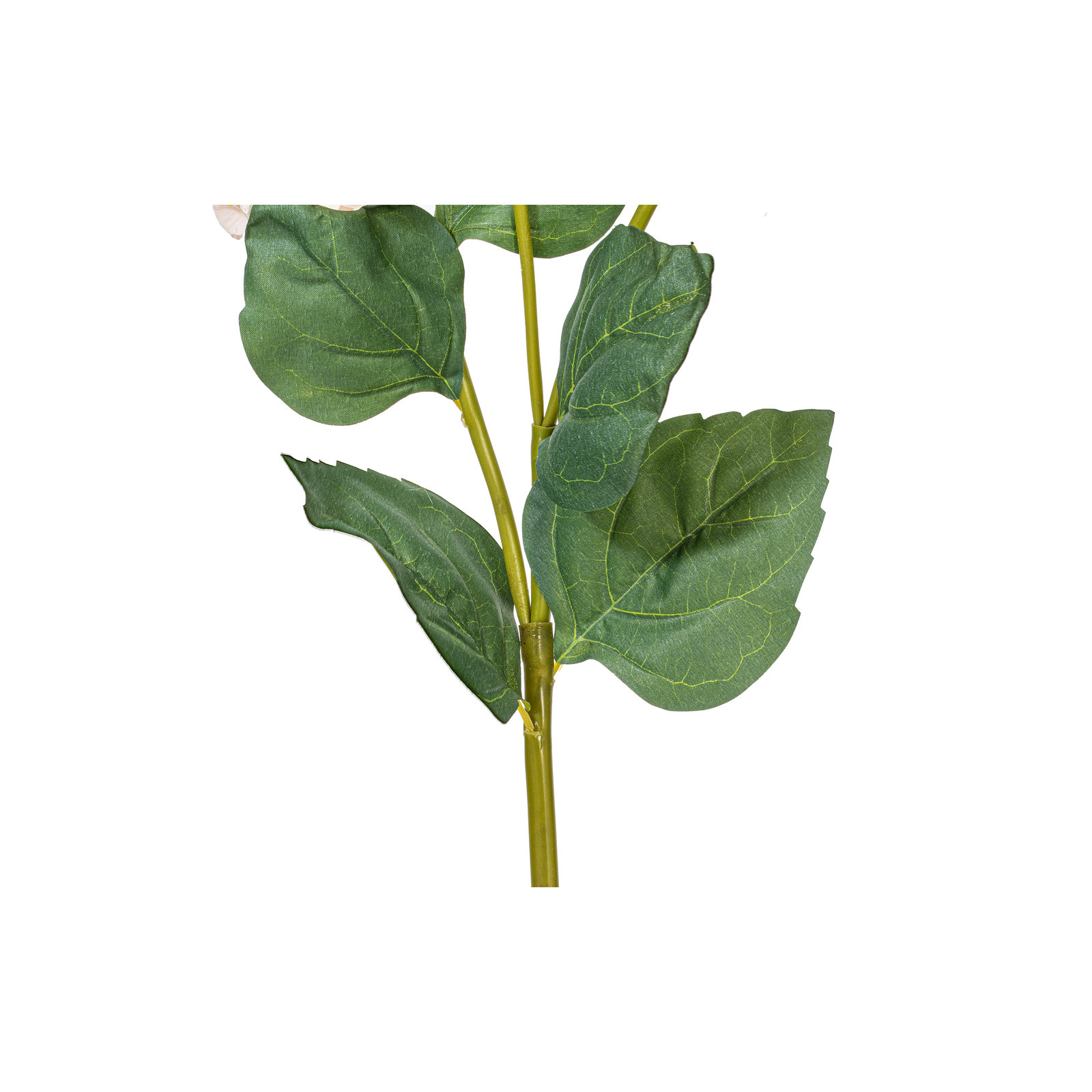 Hydrangea Stem, Yellow
