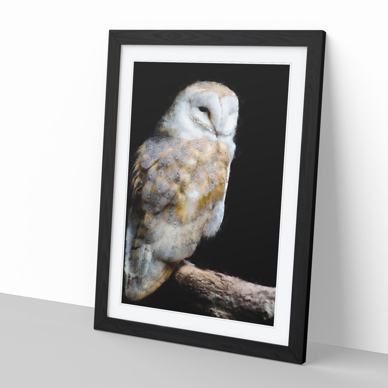 Barn Owl Vol.3 - Picture Frame Painting, 36cm H x 27cm W x 2cm D, Black Framed