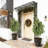 Artificial Norfolk Pine Tree
