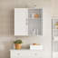 Caelan Mounting / Installation Required Bathroom Cabinet-86713054