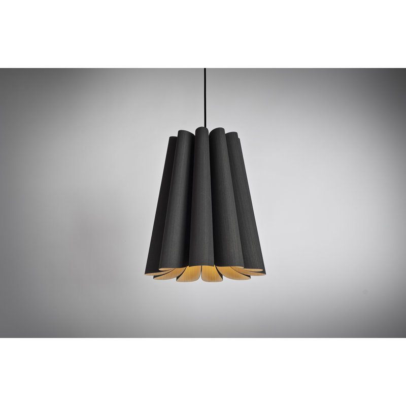 Luminaire suspendu 1 lumière Olivia, Ébène
