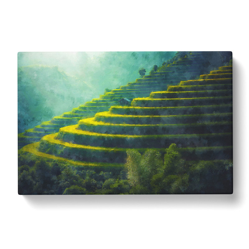 Rice Plantation In Cambodia Vol.1 - Wrapped Canvas, 40cm H x 60cm W x 3cm D
