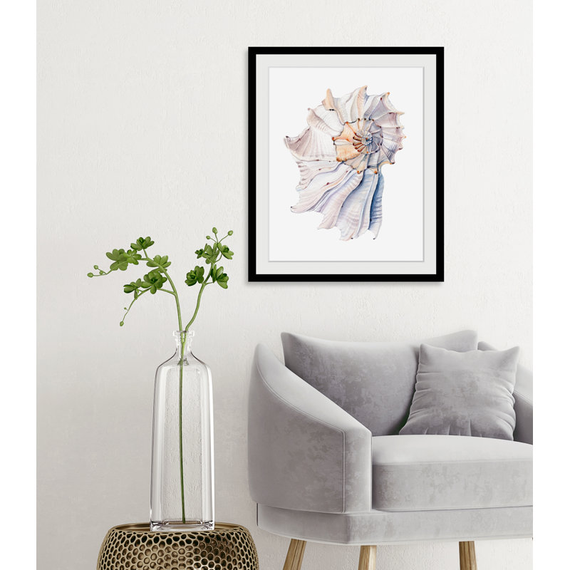 Shell - Single Picture Frame Print