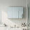 W H Medicine Cabinet Mirror