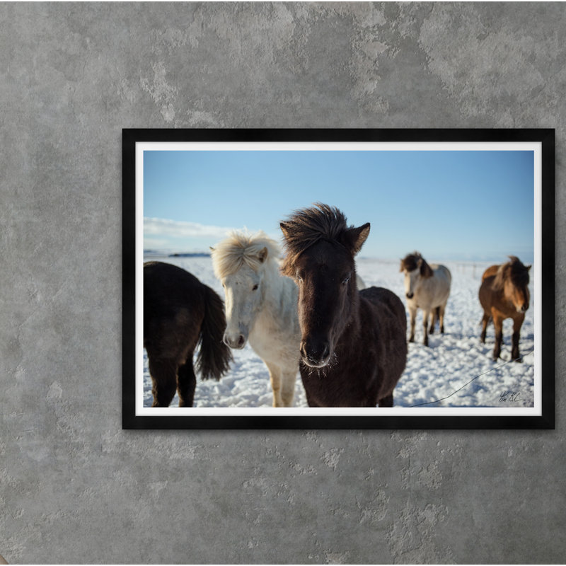Islandais I - photographie avec cadre