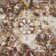 Raashi Washable Abstract Indoor Rug