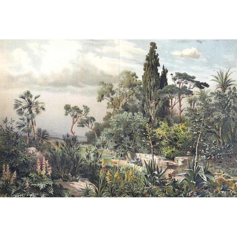 Exotic Green Forest by L Feddes - Wrapped Canvas Print, 51cm H x 76cm W x 3.8cm D