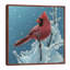 Cardinal - Cherry On Top by Collin Bogle - Painting on Canvas-30506373-103296663