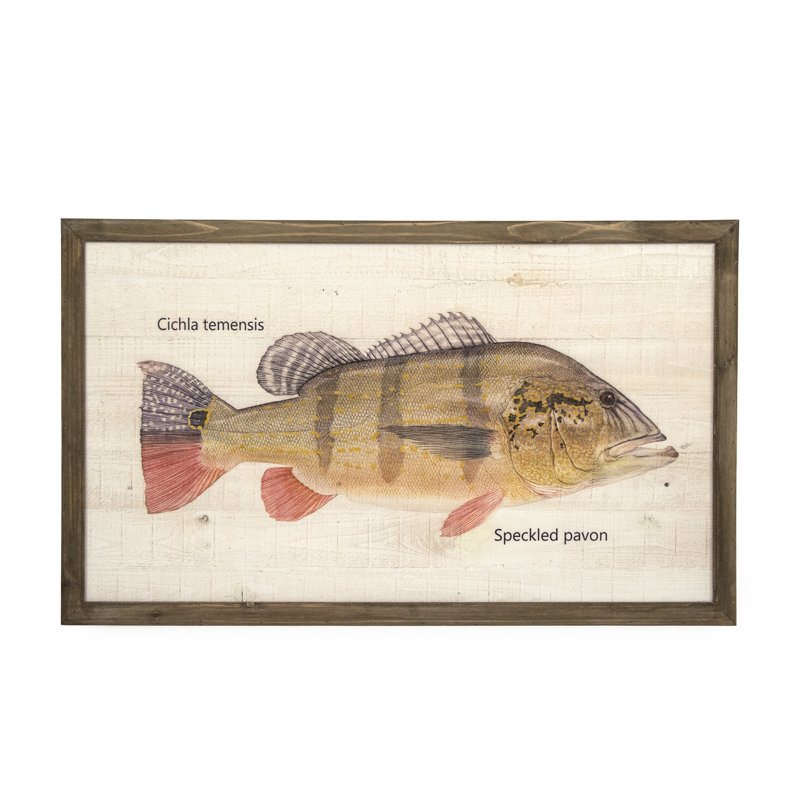 Speckled Pavon Print, 23.5" H x 39.5" W x 1.5" D
