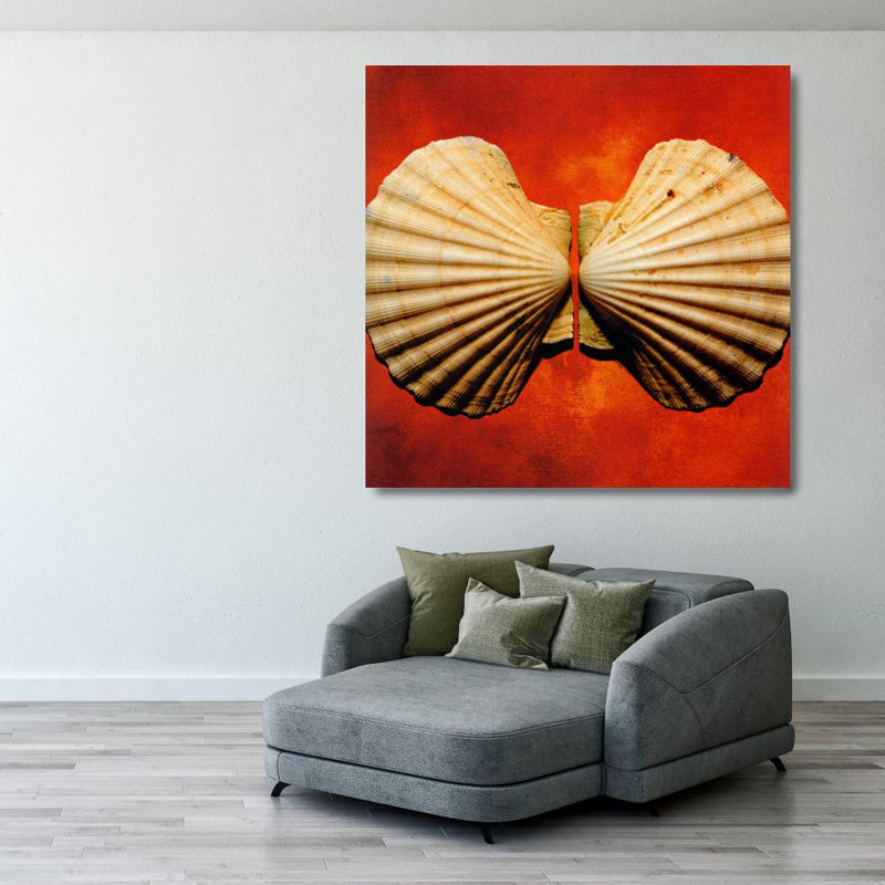 Coquillages, H 28 po x l 28 po