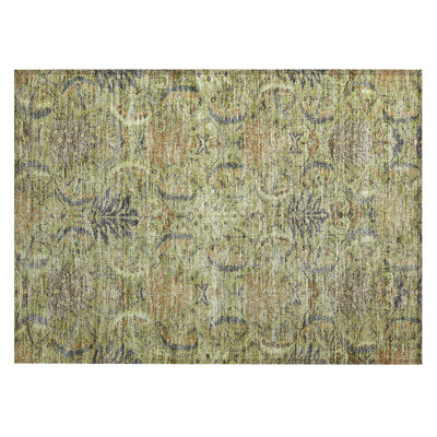 Chayil Area Rug with Non-Slip Backing